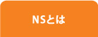NSとは