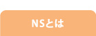 NSとは