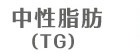中性脂肪（TG）